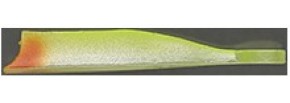 Ninjari Worm size M - 04