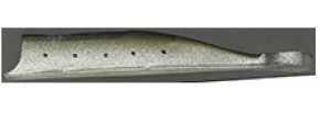 Ninjari Worm size S - 06